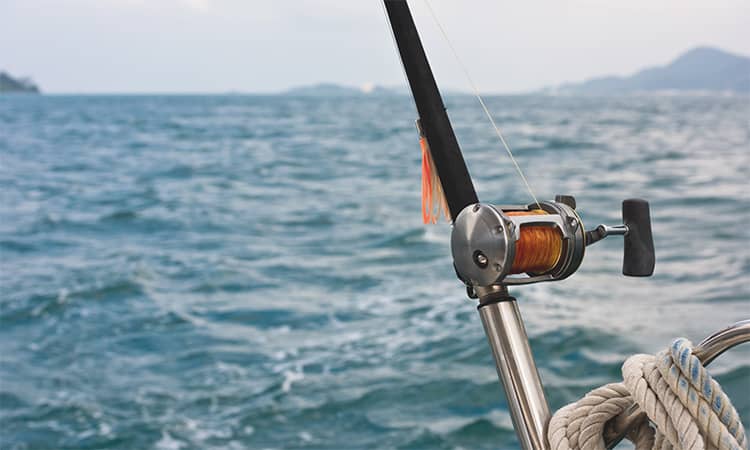 What is the Best Time to Go Saltwater Fishing