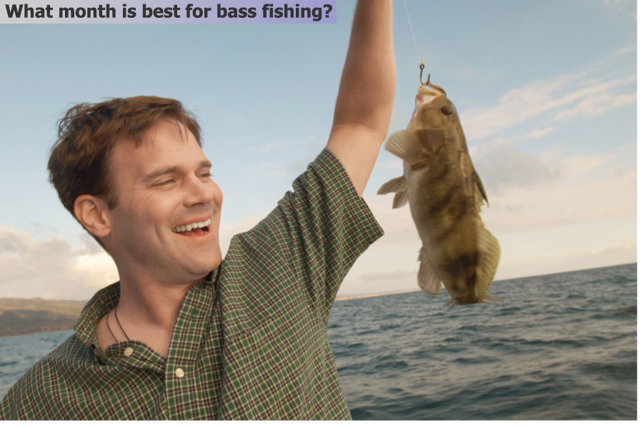 What month is best for bass fishing?