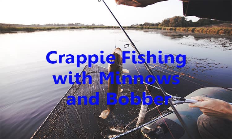 Crappie Fishing with Minnows and Bobber
