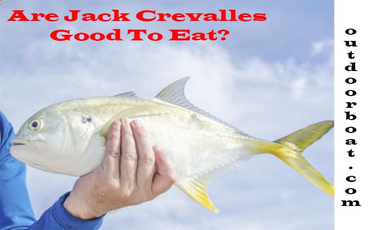 Are Jack Crevalles Good To Eat- Cooked And Tasted? - OutdoorBoat