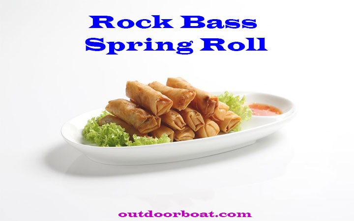 Rock Bass Spring Roll